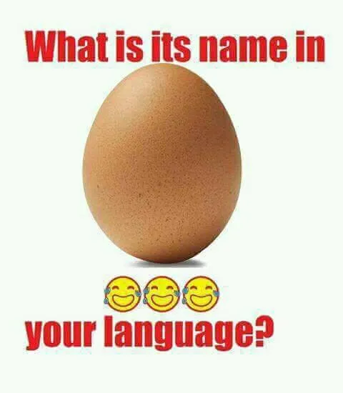 23167911_199548177255649_9149050332306379539_n.jpg