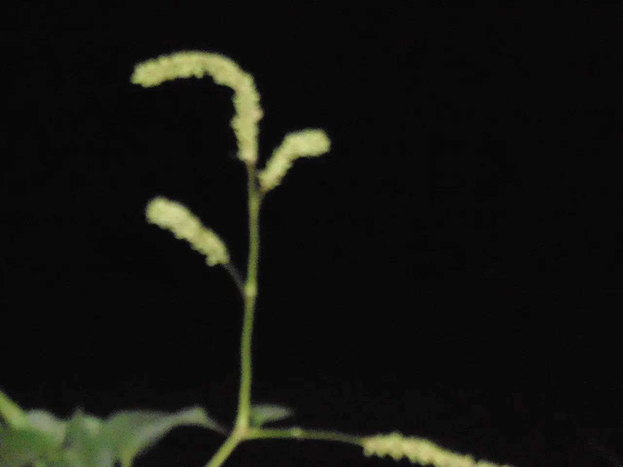 10557000_553634024759364_6803188178849397770_o.jpg