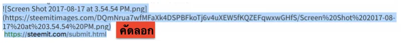 Screen Shot 2017-08-17 at 4.52.26 PM.png