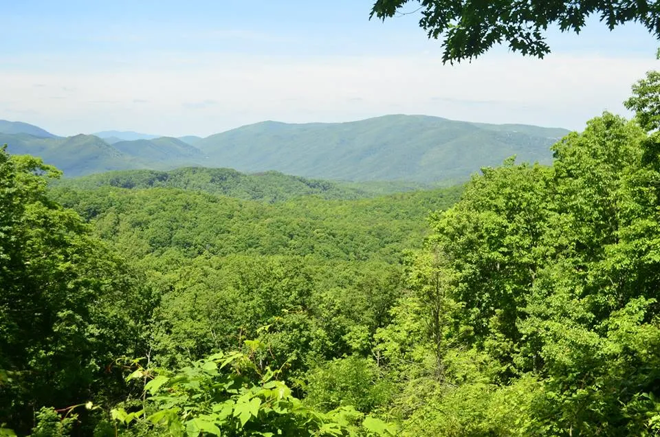 Great Smoky Mountains National Park.18.jpg