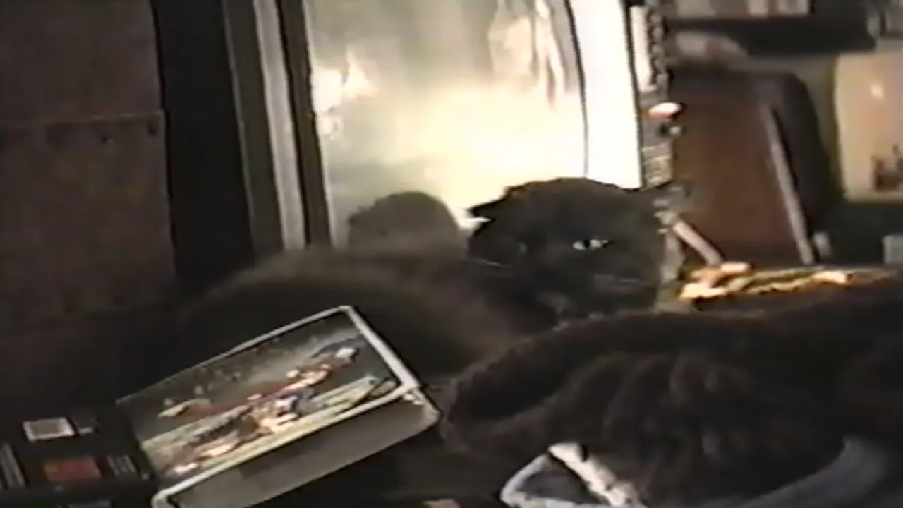 1996-02-02 PUFFER CAT in 163 of JA.jpg