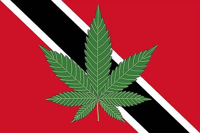 Cannabis-advocates-petition-Trinidad-and-Tobago-parliament-to-enact-existing-medical-marijuana-legislation-–-Caribbean-News-Now.jpg