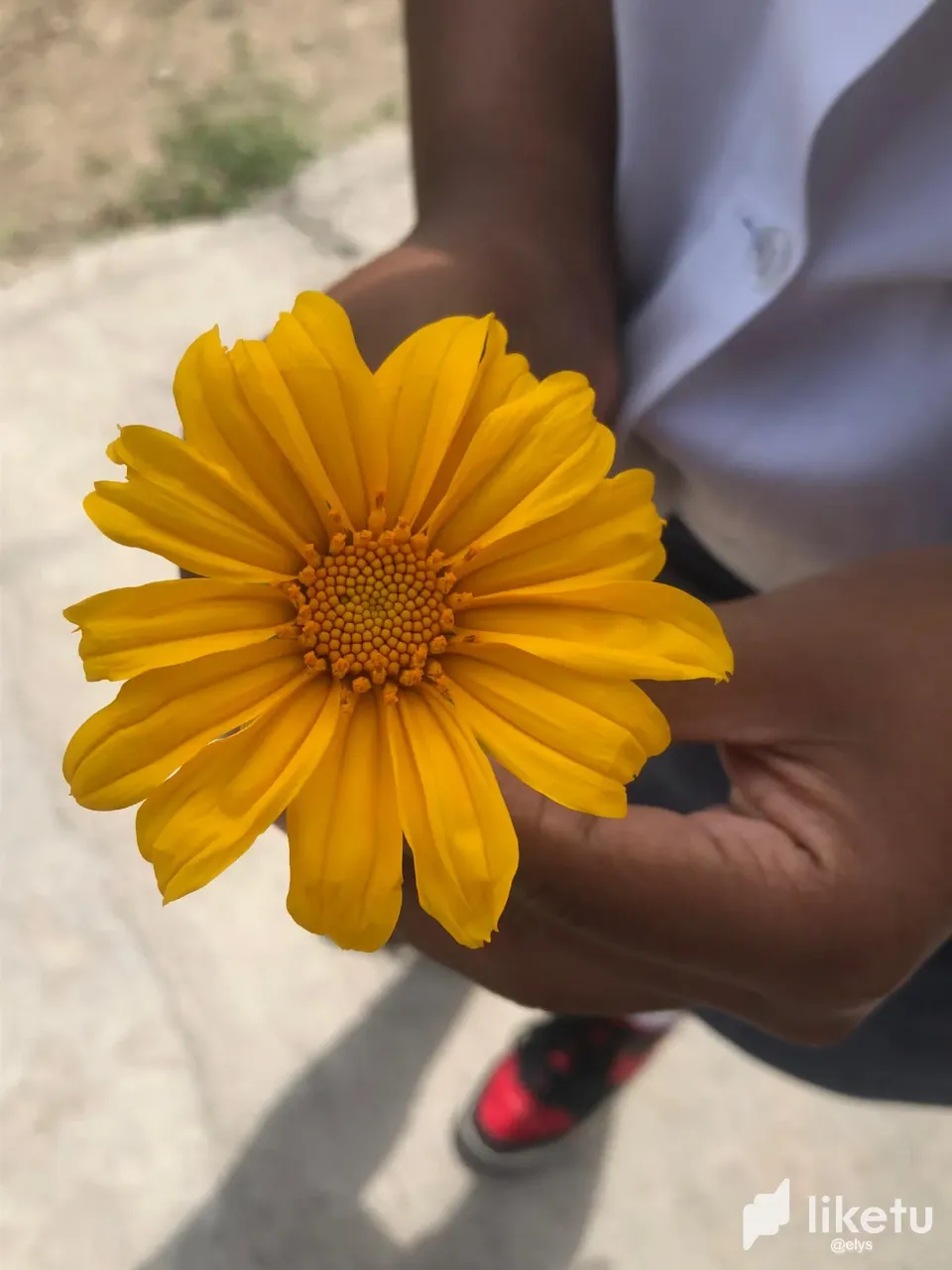 zxNx2A9smxcP5KNq_4.webp
