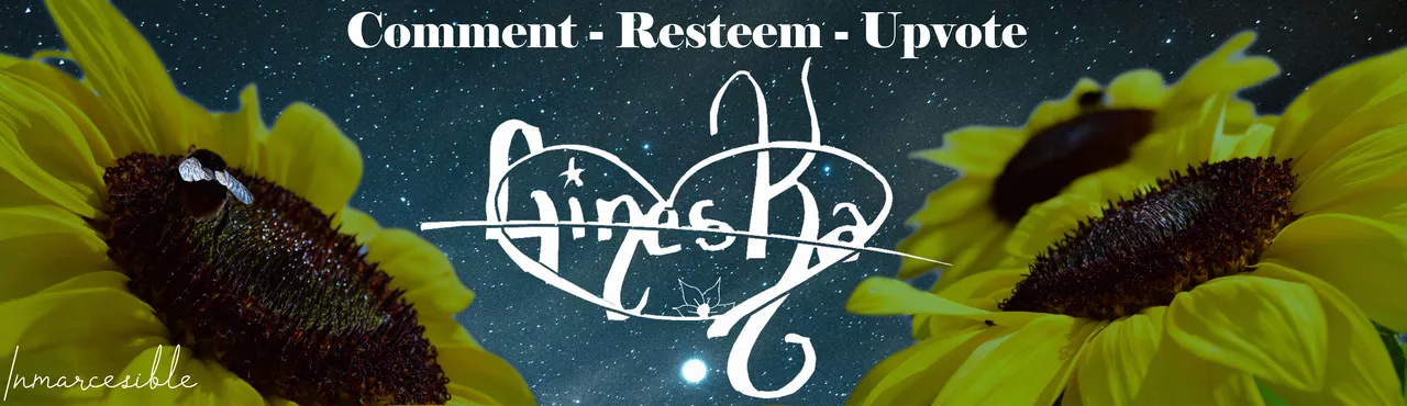 k.png