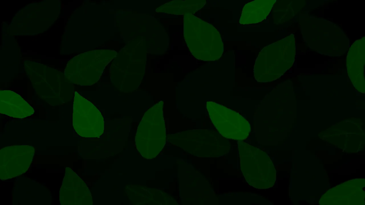 8.png