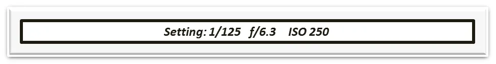 4.png