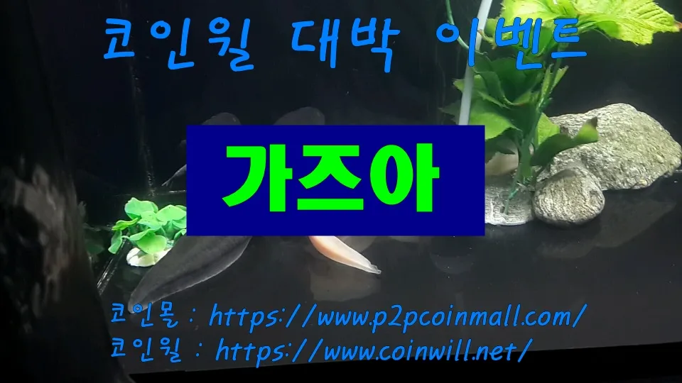 0.jpg