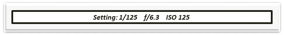 5.png