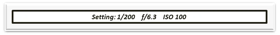 4.png