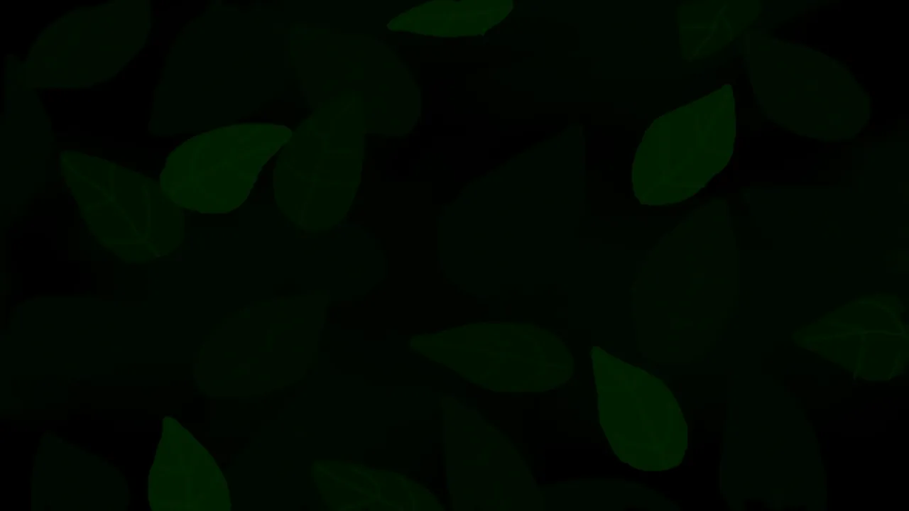 6.png