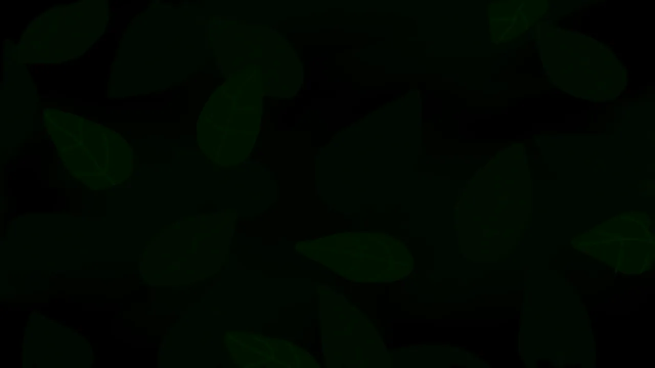 5.png