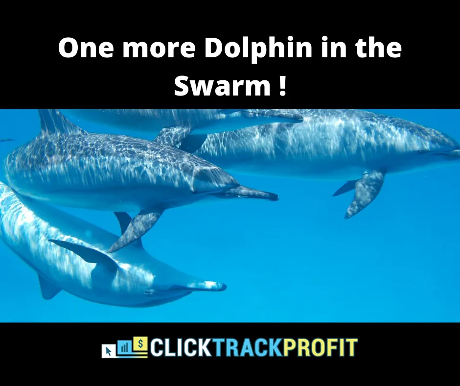 One more dolphin.png