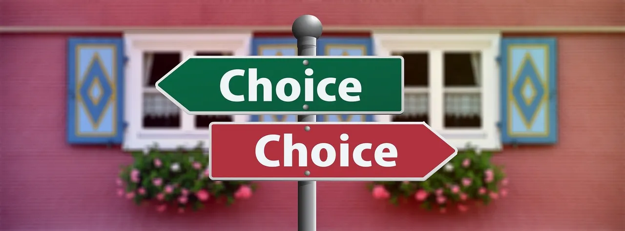 choice2692575_1920.jpg