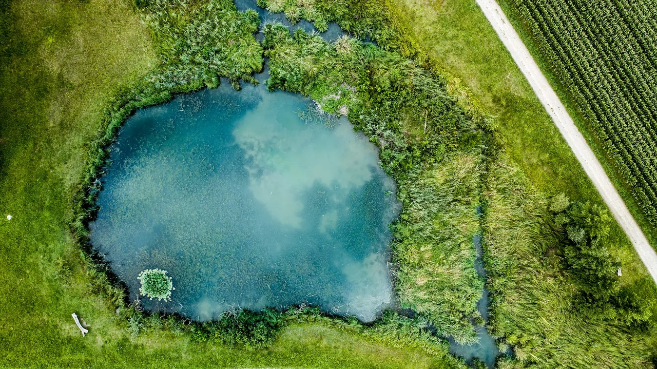 lake2755907_1920.jpg