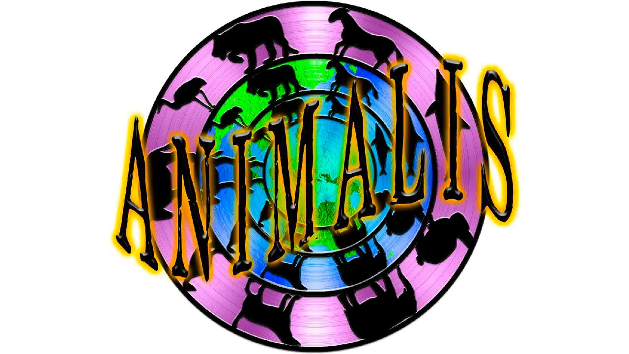 Animalis logo.png