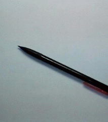 20201014_211520ANIMATION.gif