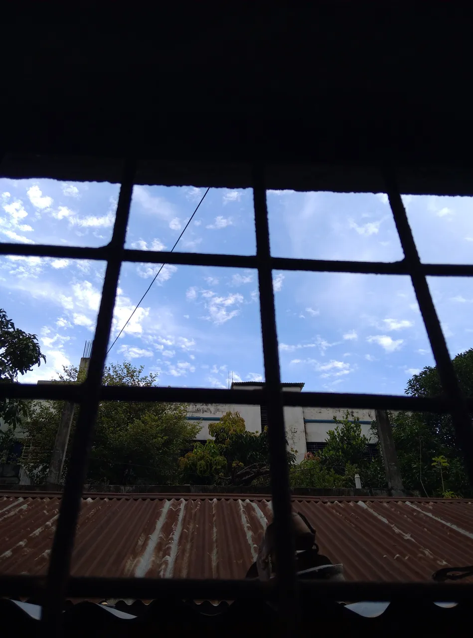 IMG_20200815_093816_1.jpg
