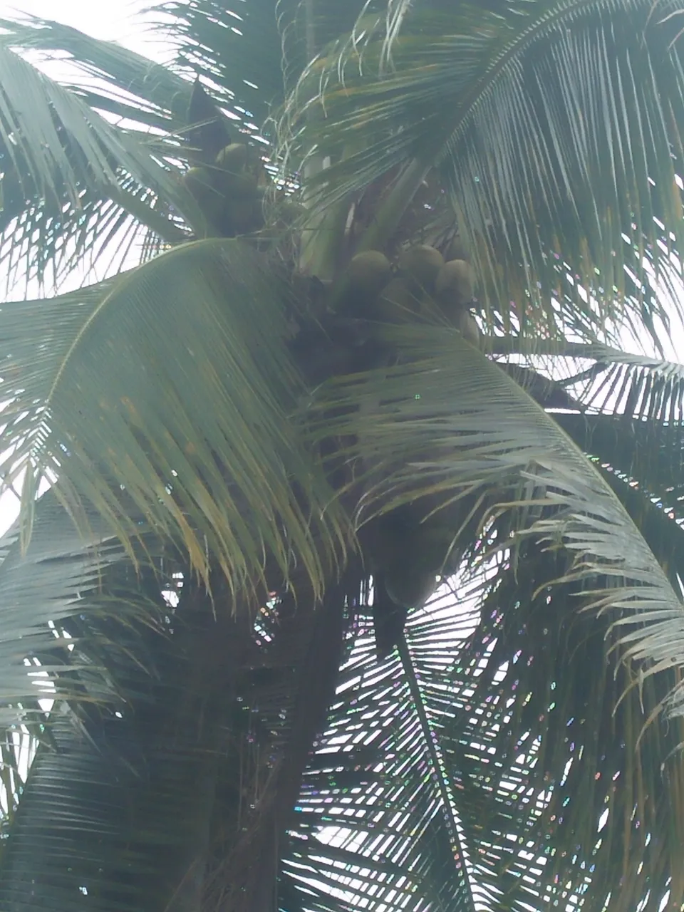 IMG20200719111948.jpg