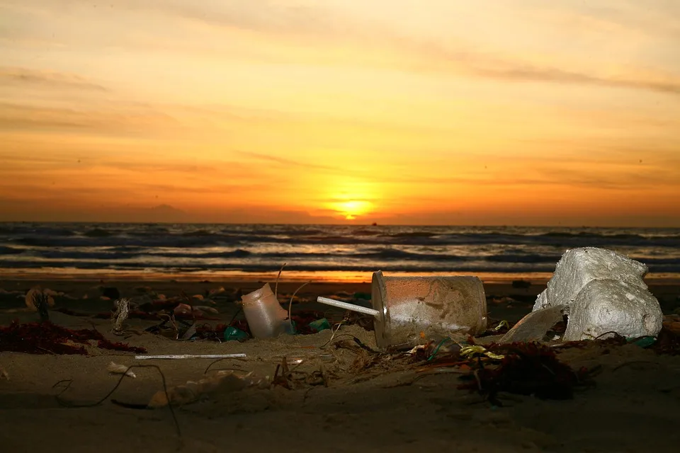 trash4897366_960_720.jpg