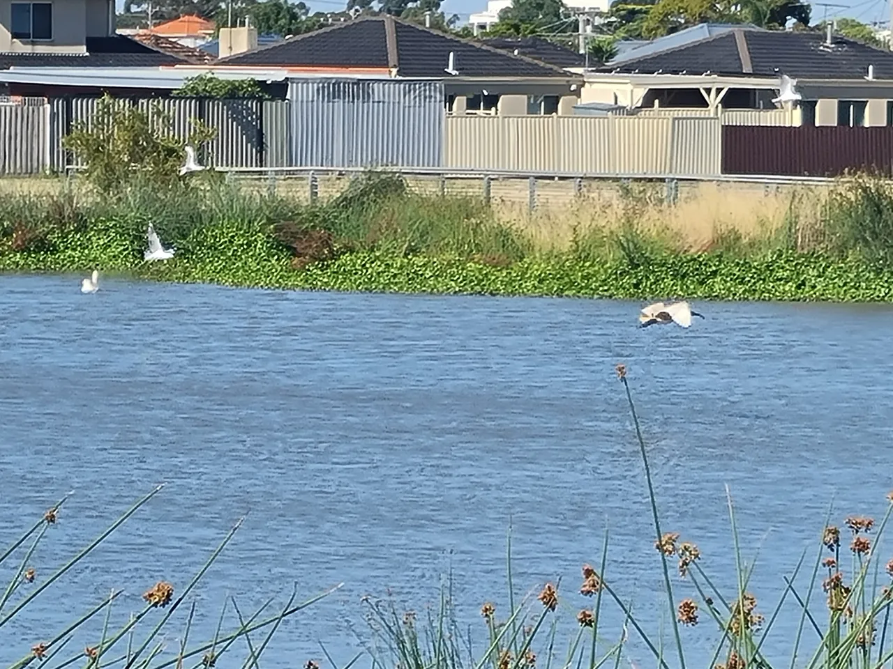 20201220_173417.jpg