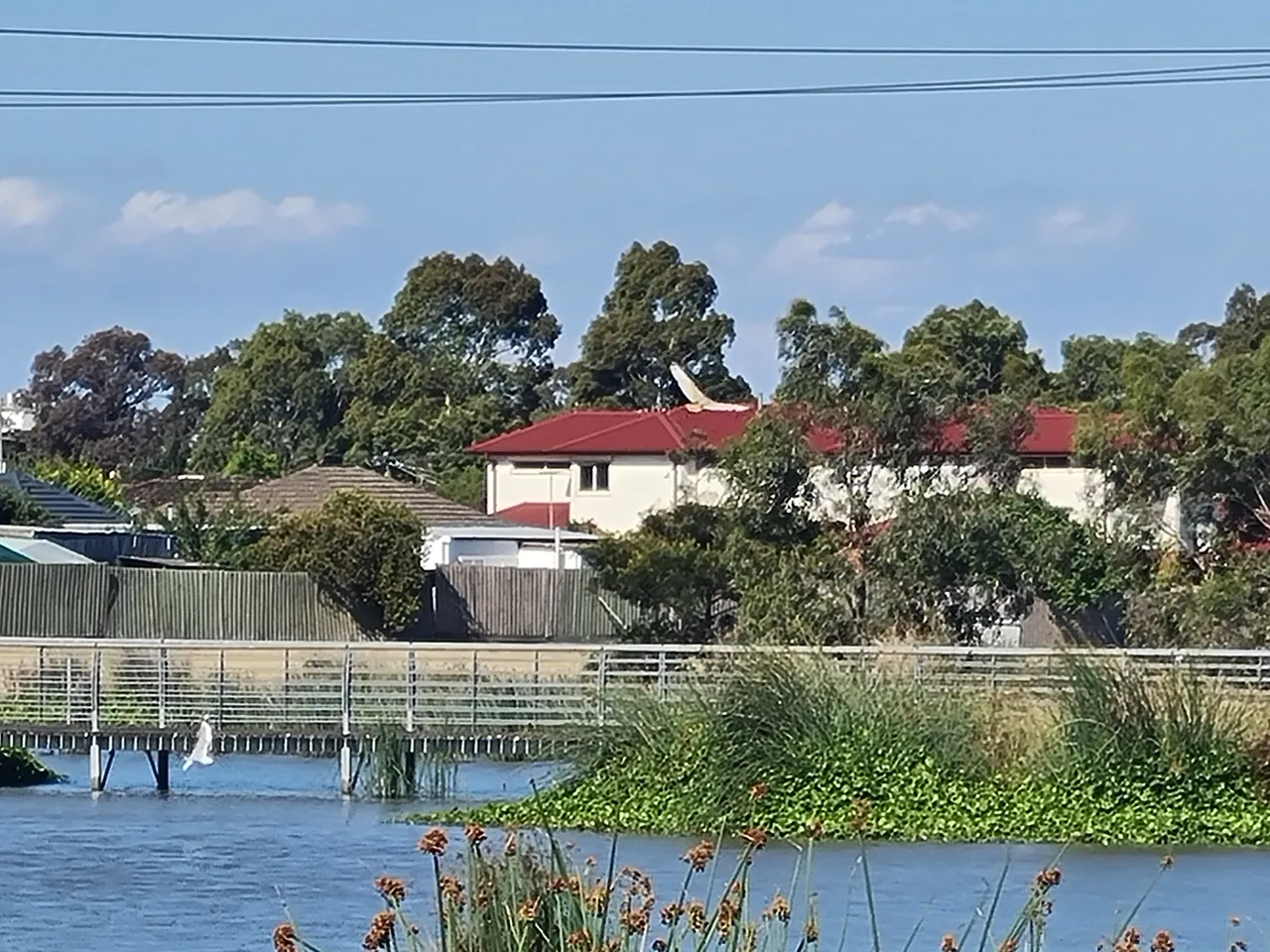 20201220_173421.jpg