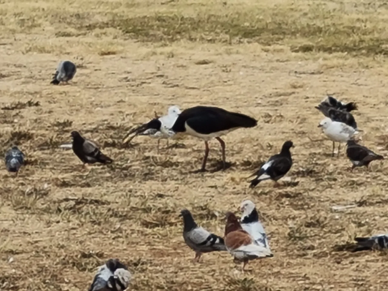 20201221_154401.jpg
