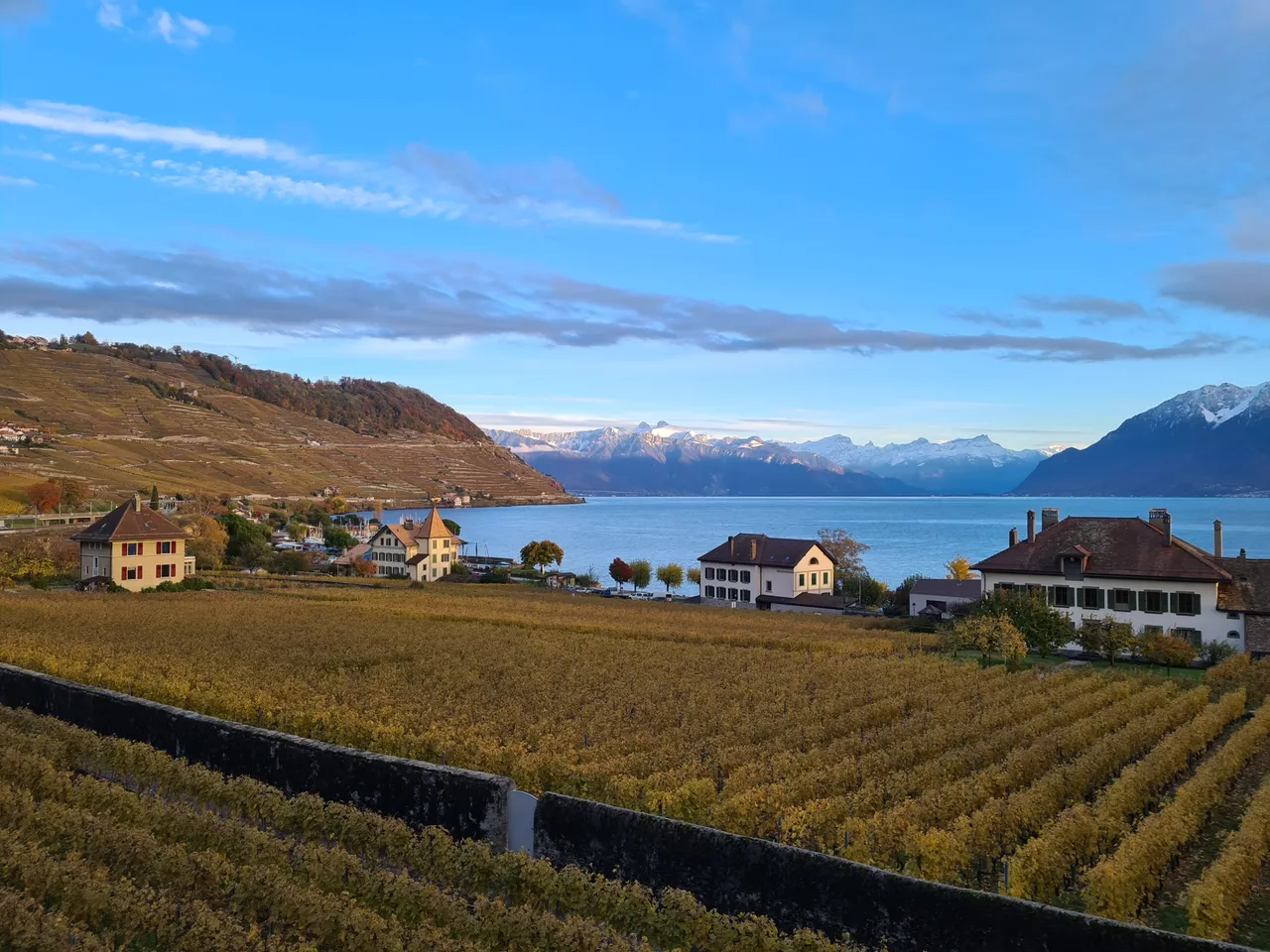 Vue sur les vignes en terrase du Lavaux, le lac Léman, les pré-Alpes enseigées, l'entrée du Valais et les Alpes depuis Cully