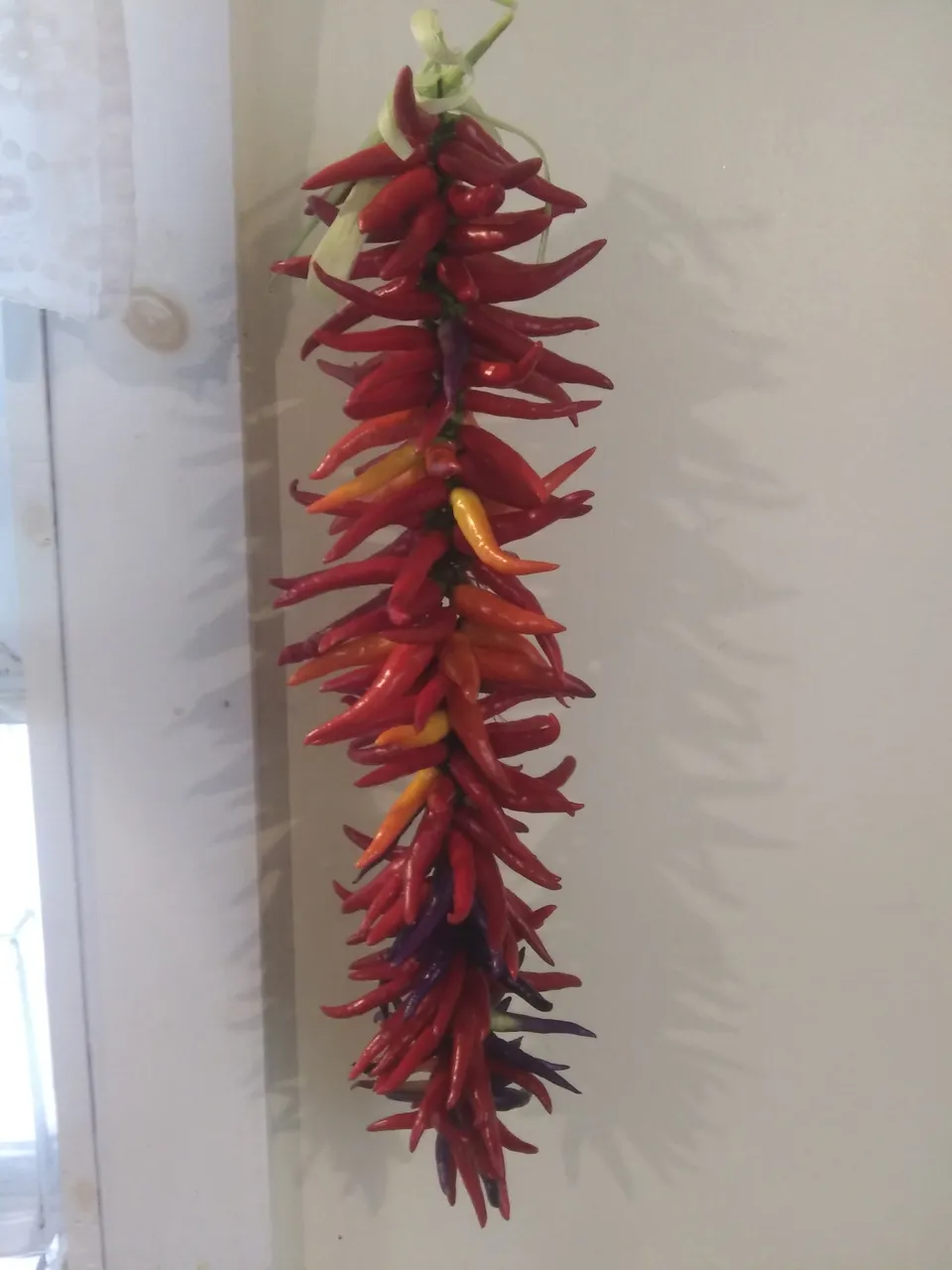 20200913_100800_HDR.jpg