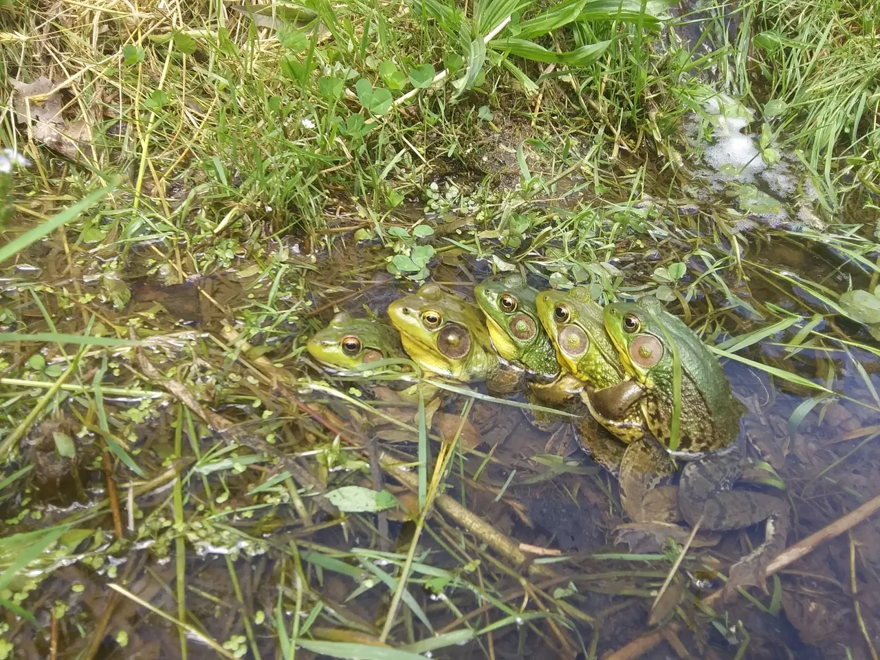 20200613_133522_HDR.jpg
