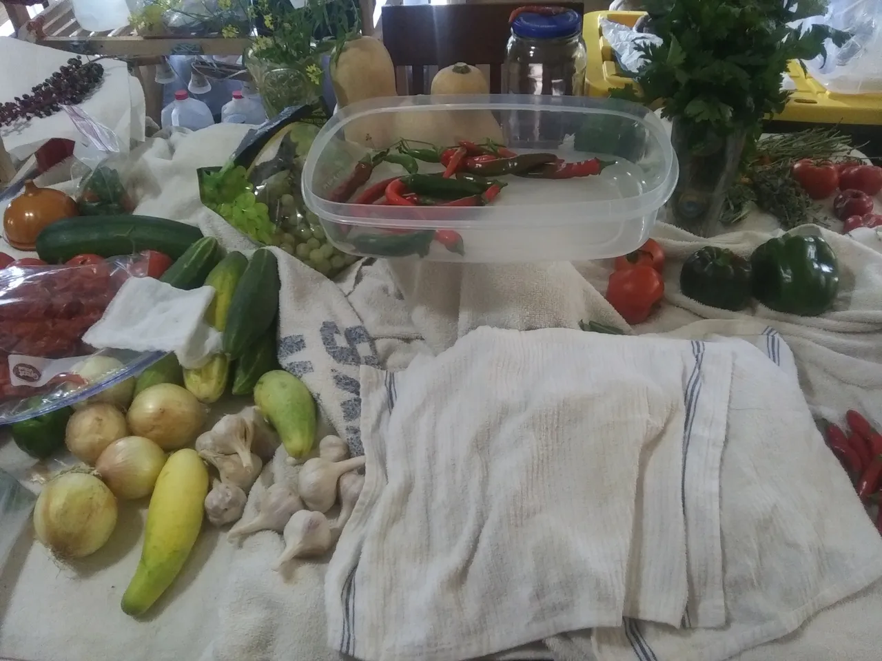 20200829_114920_HDR.jpg
