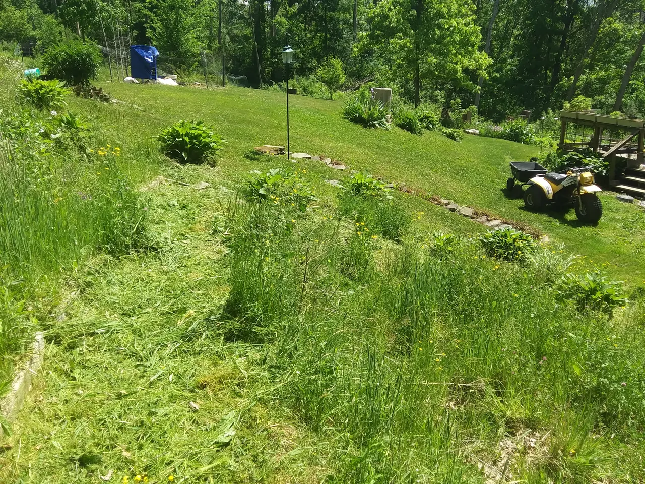 20200606_113939_HDR.jpg