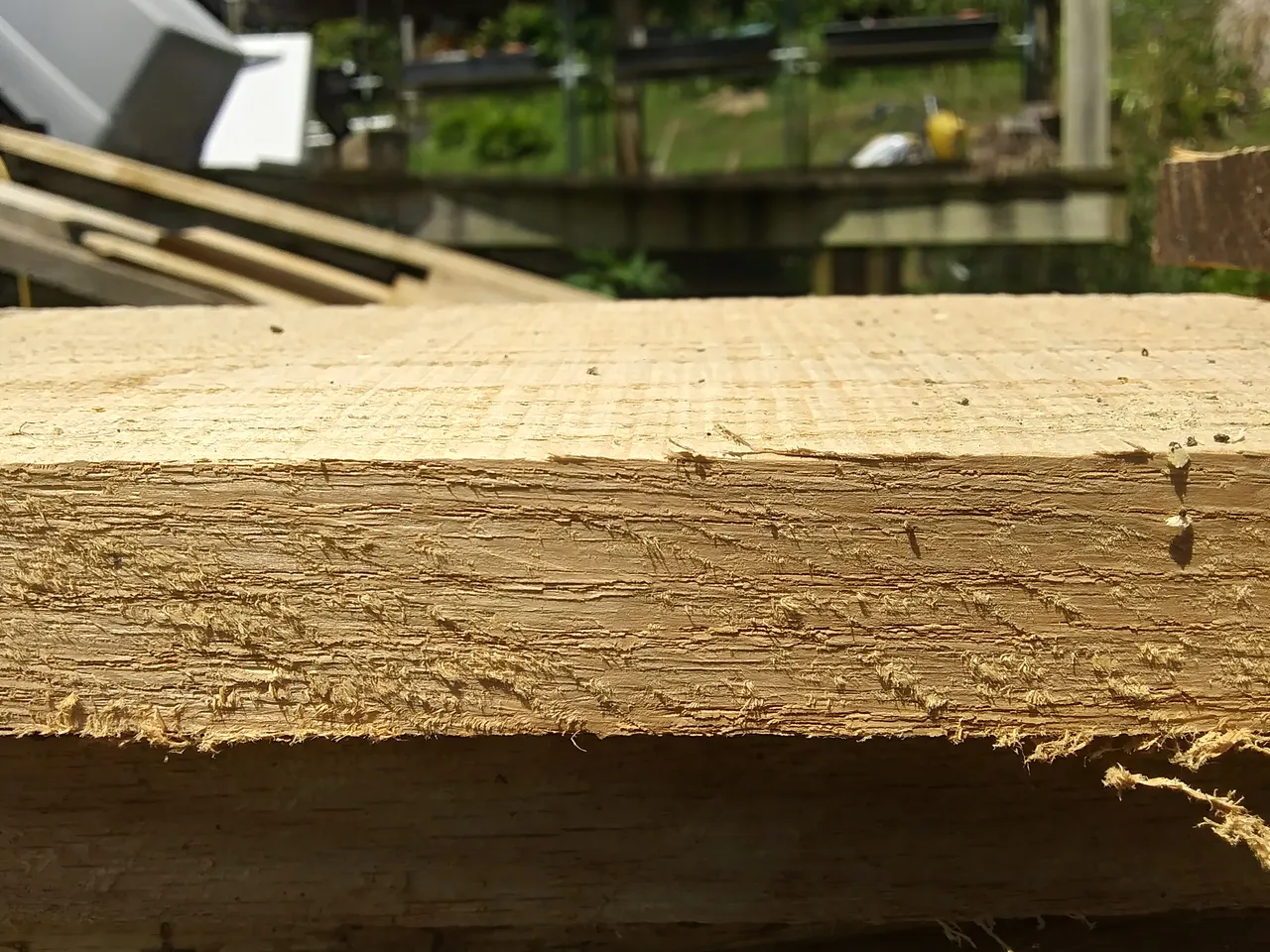 20200808_131446_HDR.jpg