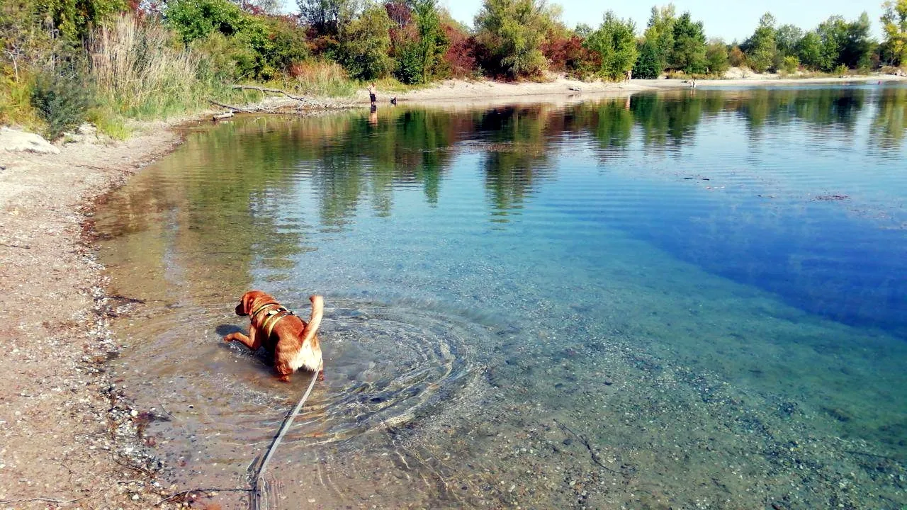 FriedasWasserspaß1.jpg