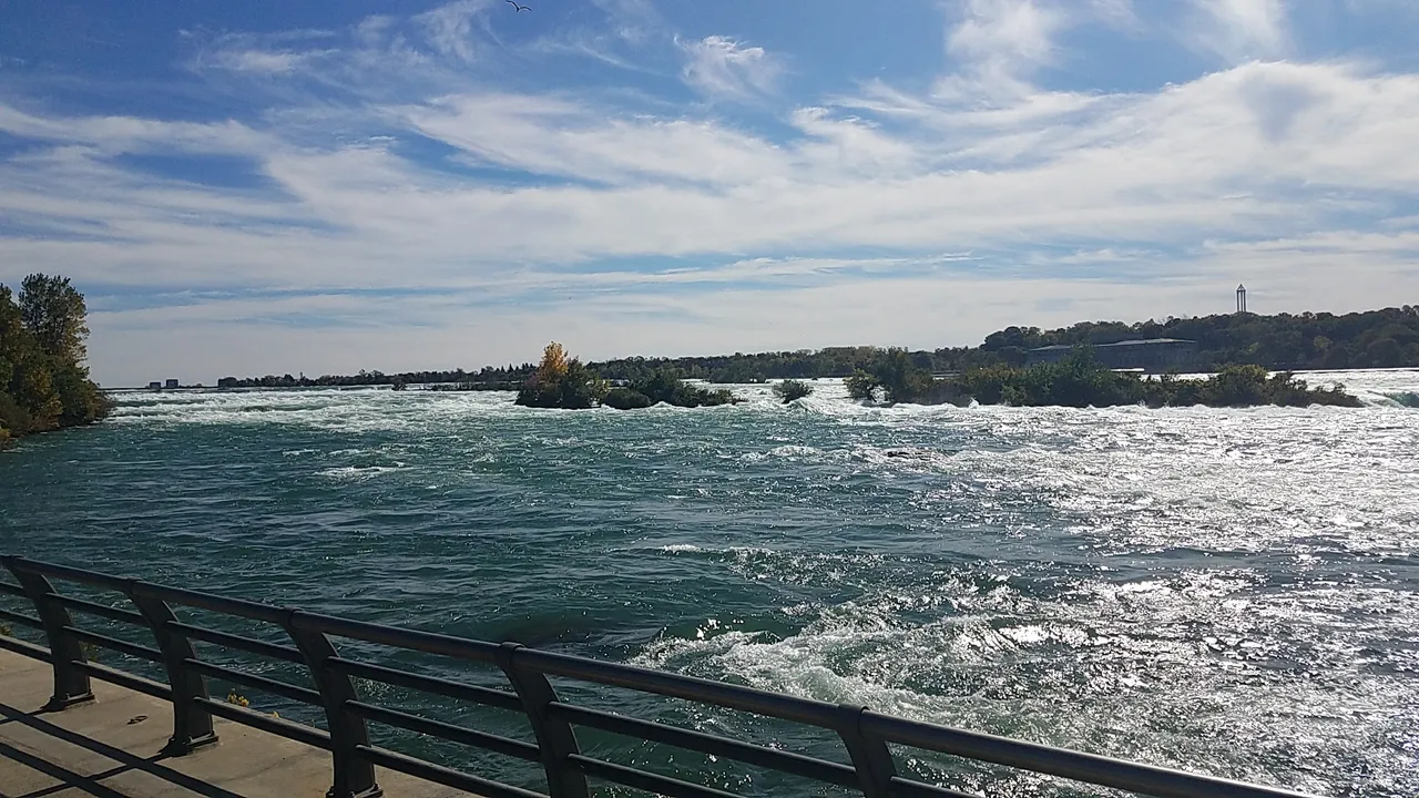 20201011_132558.jpg