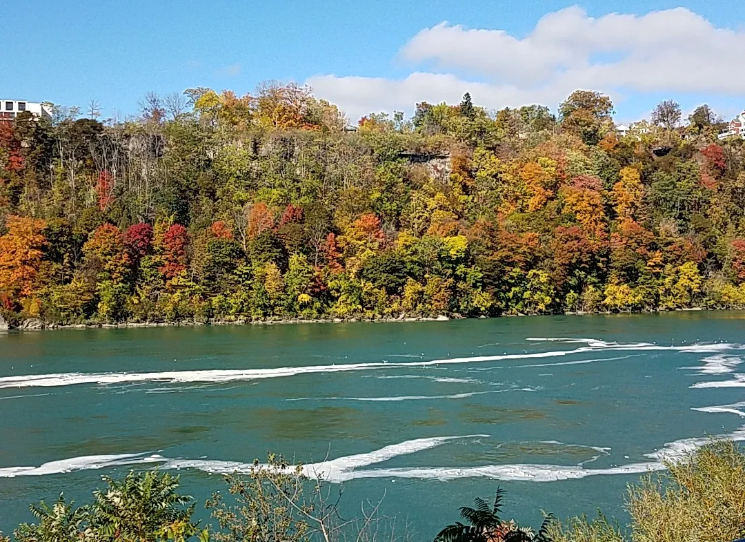 20201011_114938.jpg
