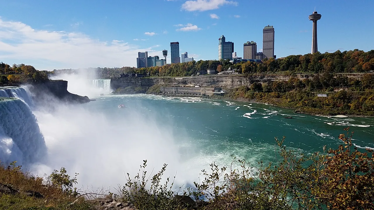 20201011_121159.jpg