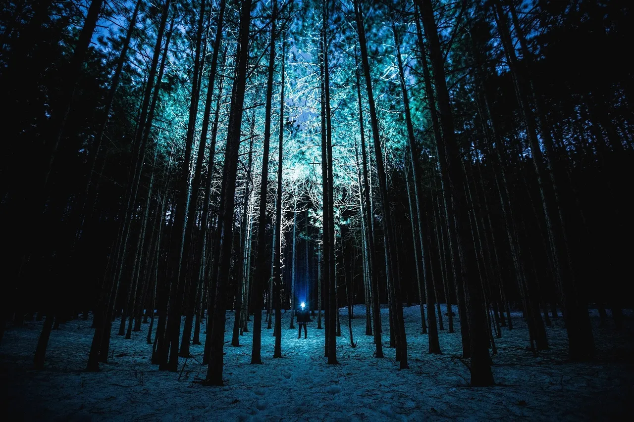 night1245875_1920.jpg