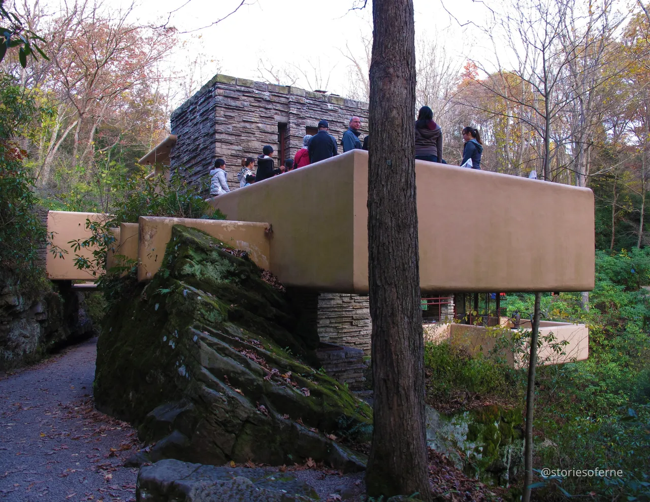 FALLINGWATER 30.jpg