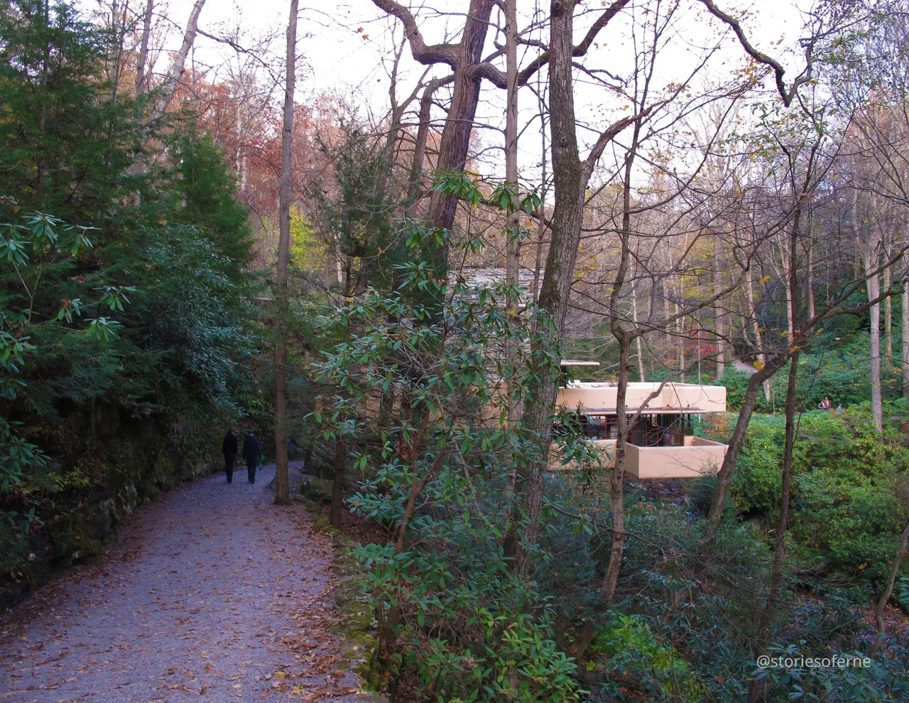 FALLINGWATER 29.jpg