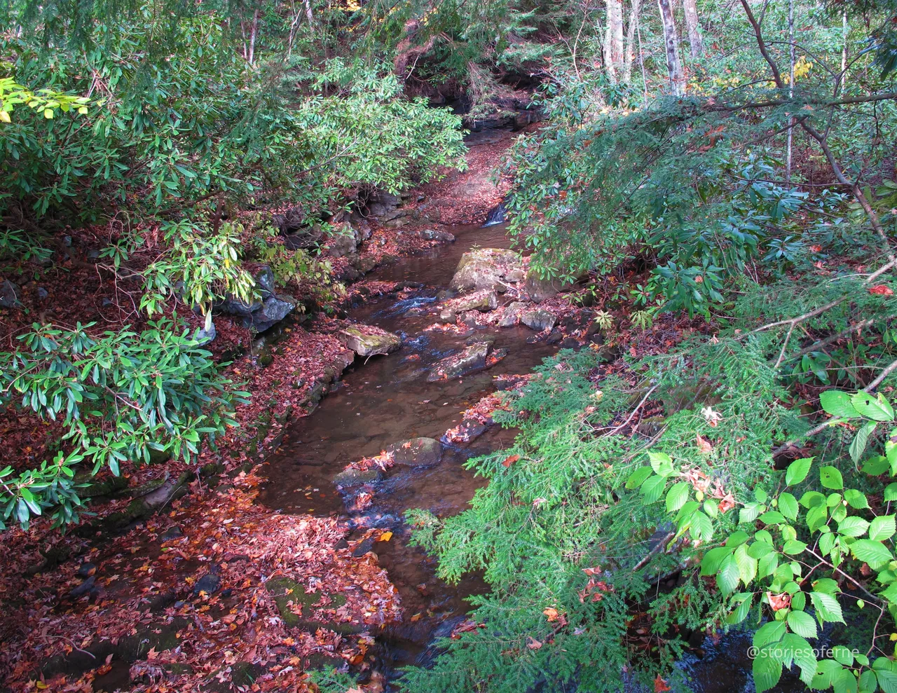 FALLINGWATER 16.jpg