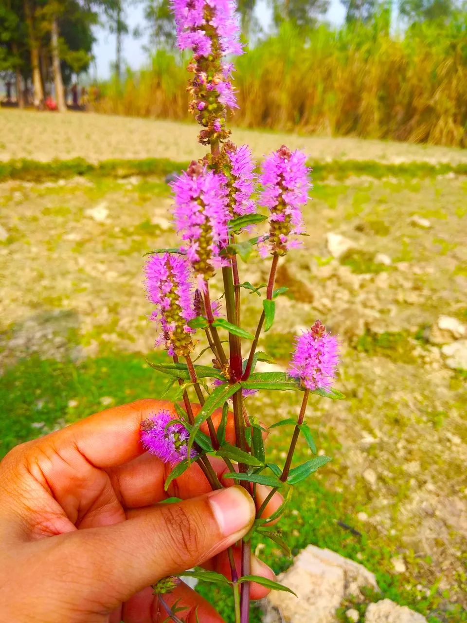 IMG_20201205_170839.jpg