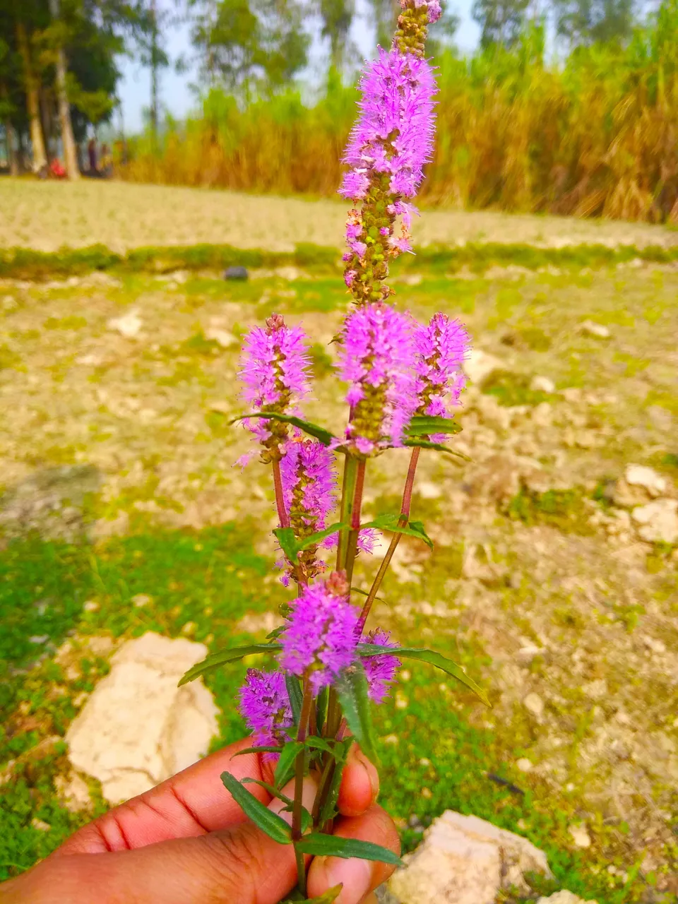 IMG_20201205_170733.jpg