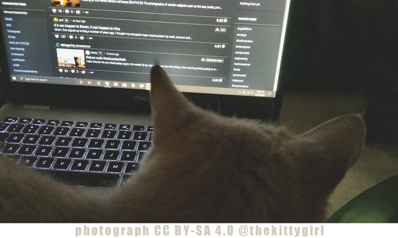 LittleBittyping2.png