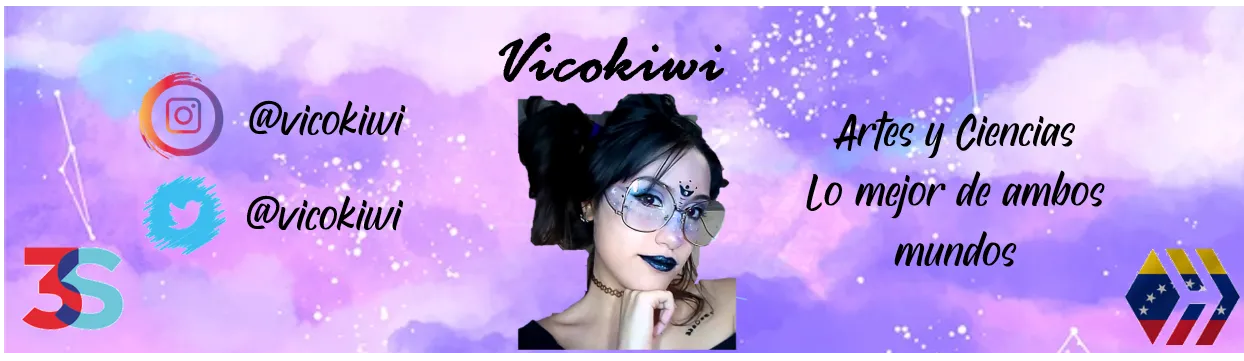 banner vicokiwi 2.0.png