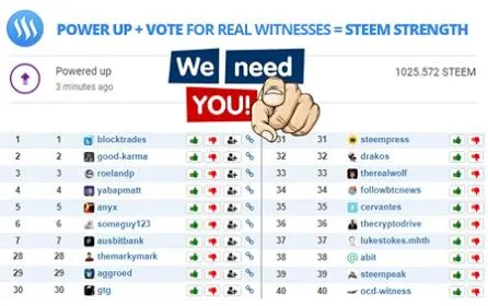 witness votes.jpg