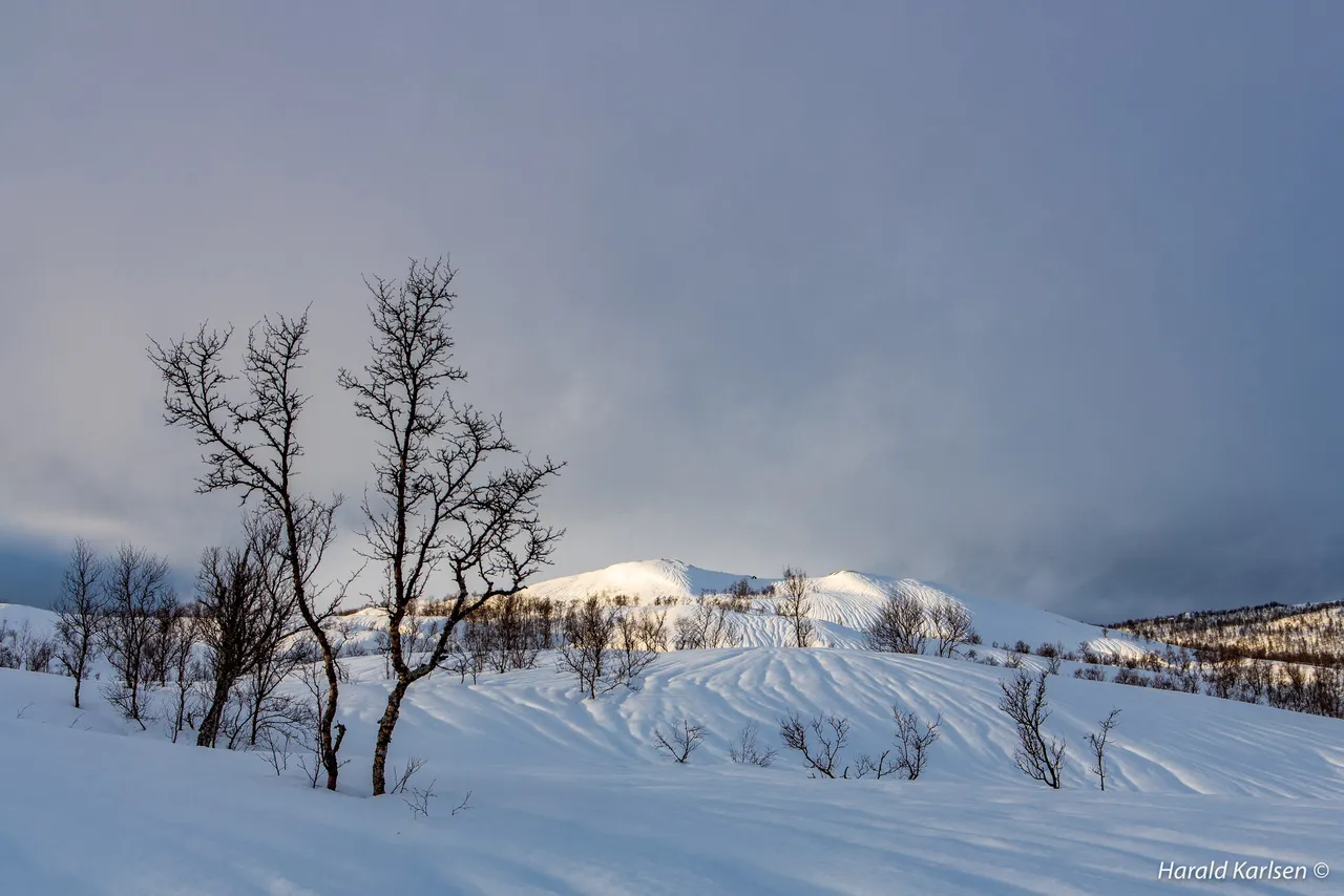 Nygårdsfjellet9.jpg