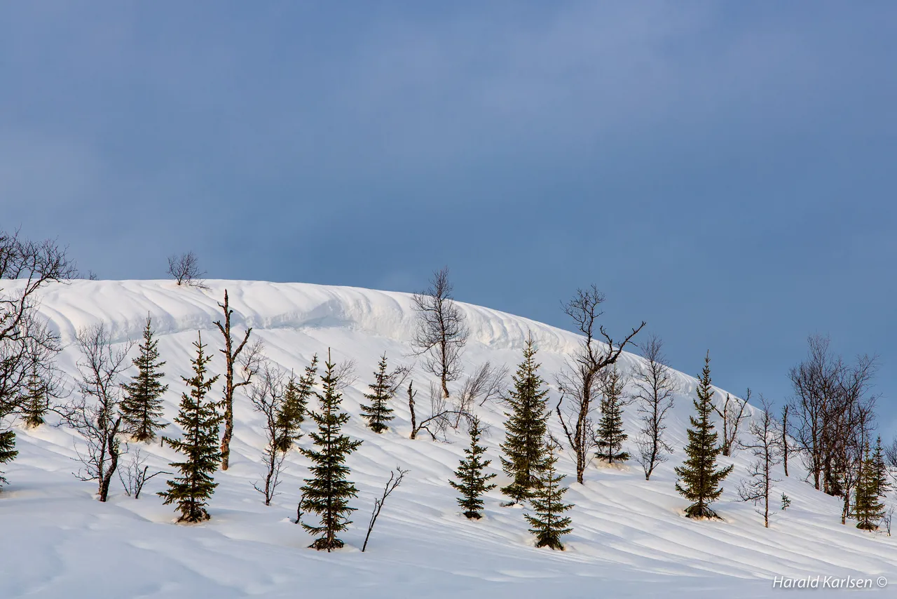 Nygårdsfjellet8.jpg