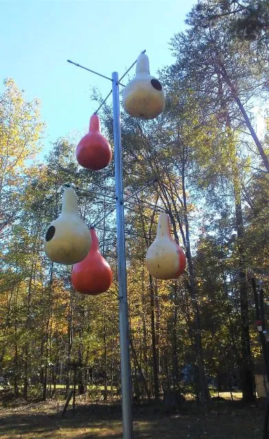 Gourd houses.jpg