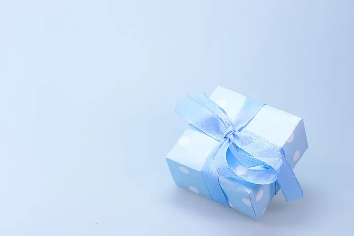 gift548290__480.jpg
