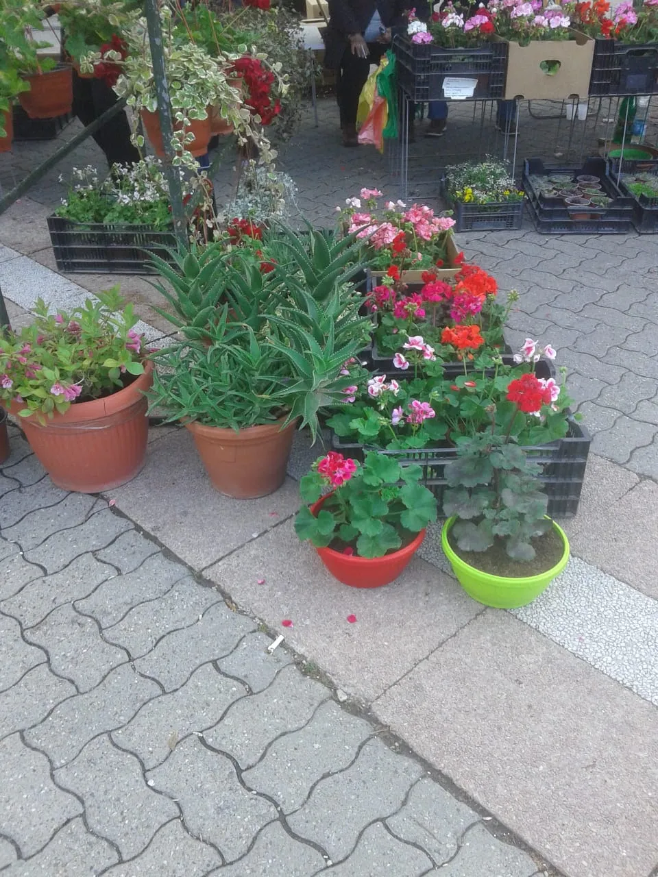 IMG20190414WA0010.jpg